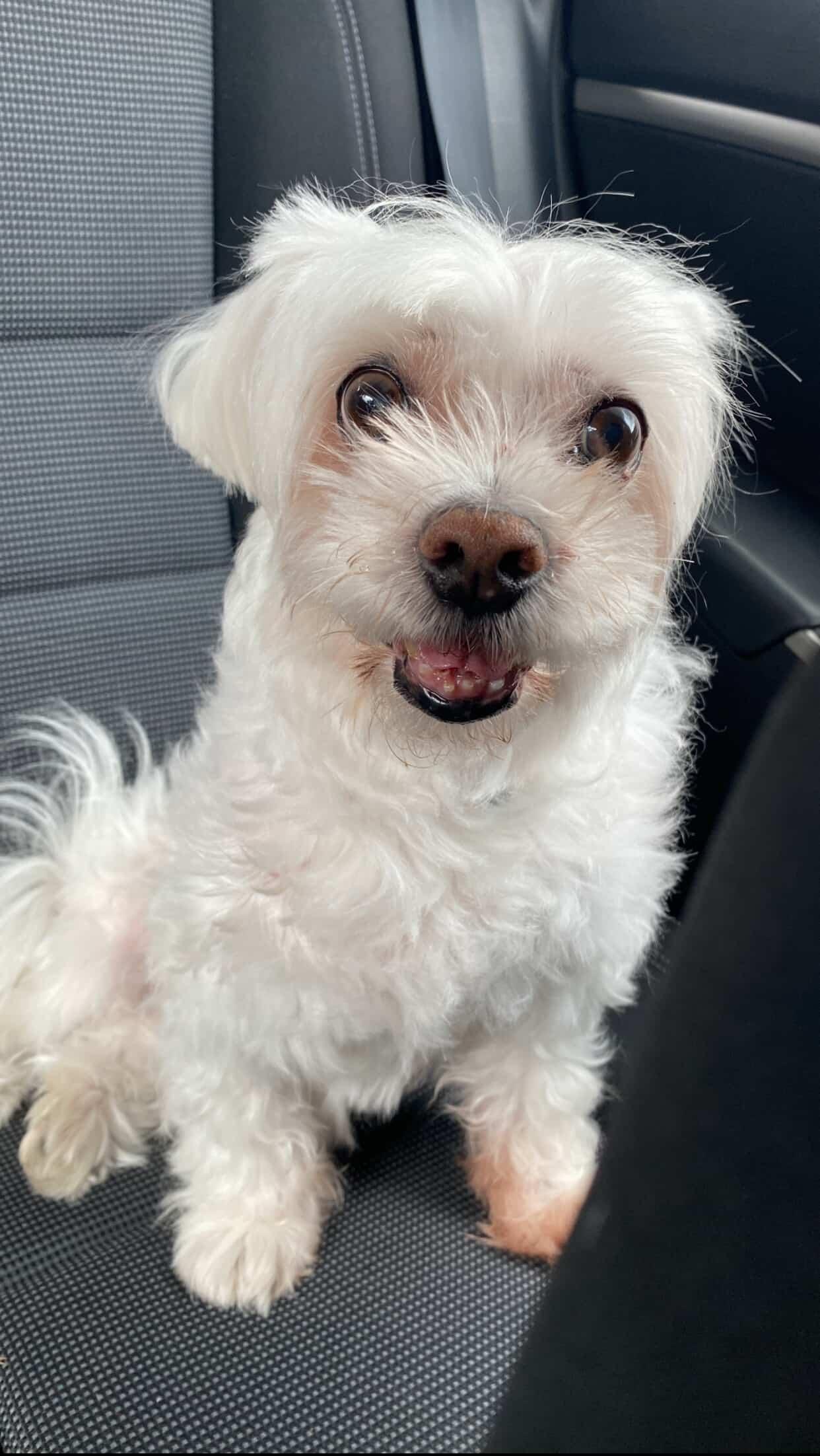 Occupational therapist profile photo